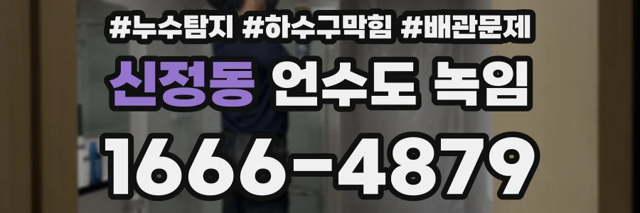 신정동 언수도 녹임