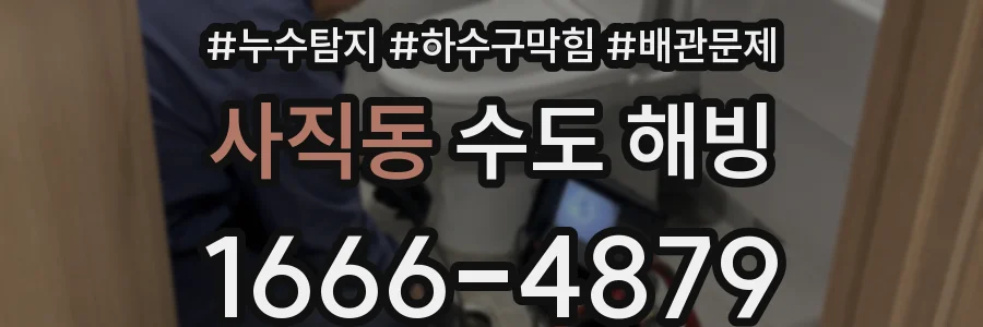 사직동 수도 해빙