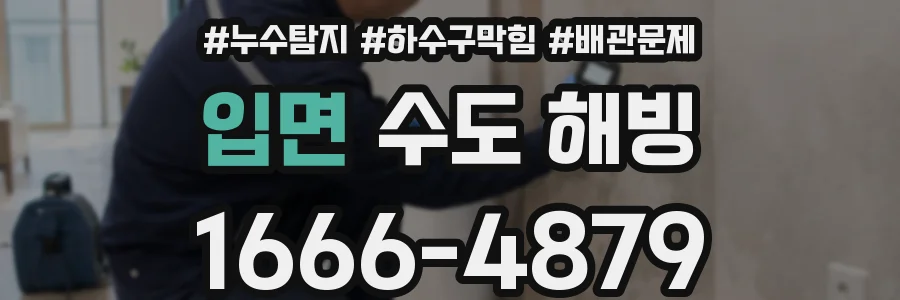 입면 수도 해빙