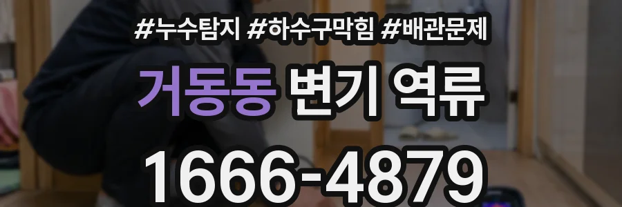 거동동 변기 역류