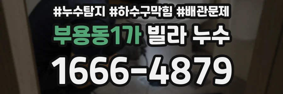 부용동1가 빌라 누수