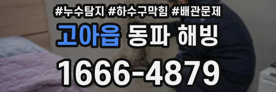 고아읍 동파 해빙
