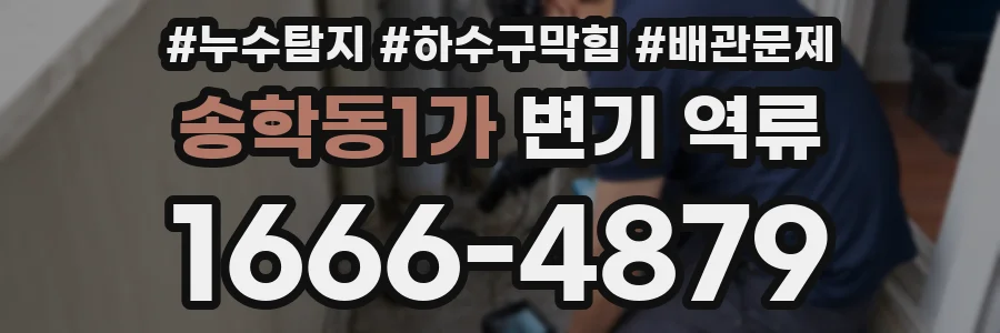 송학동1가 변기 역류