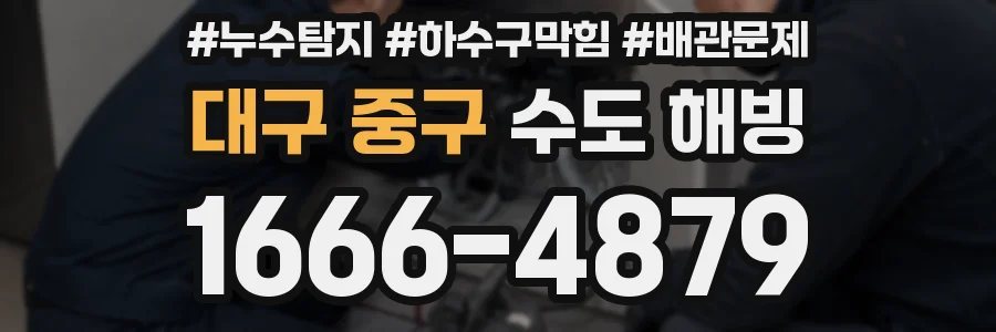 대구 중구 수도 해빙