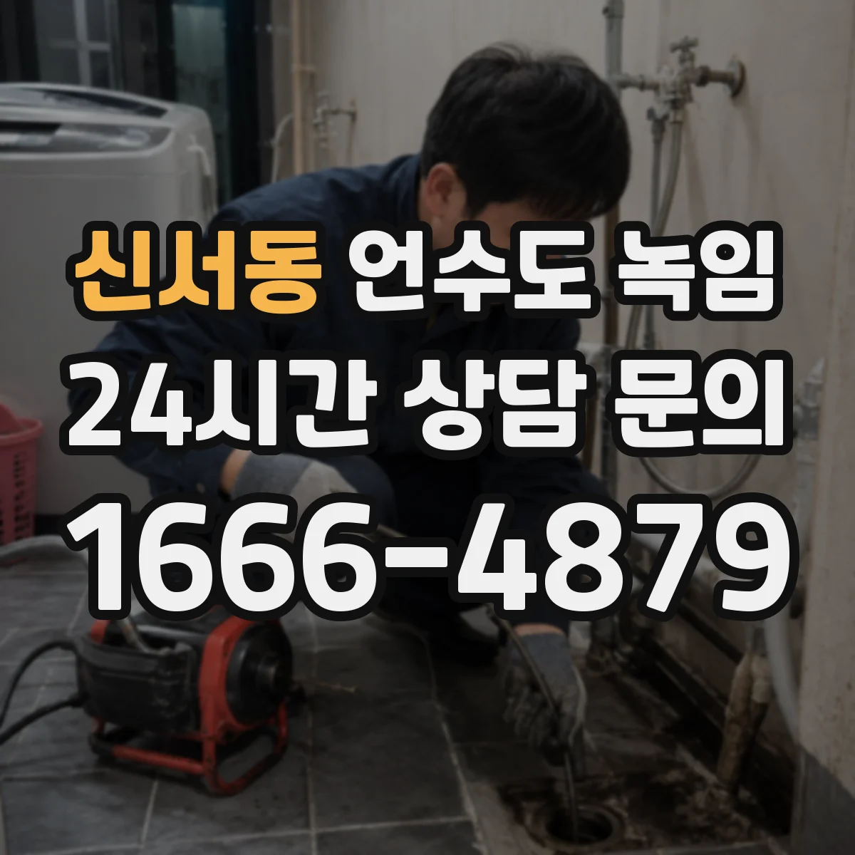 신서동 언수도 녹임