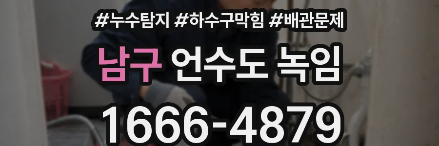 남구 언수도 녹임