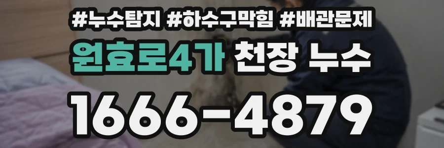 원효로4가 천장 누수