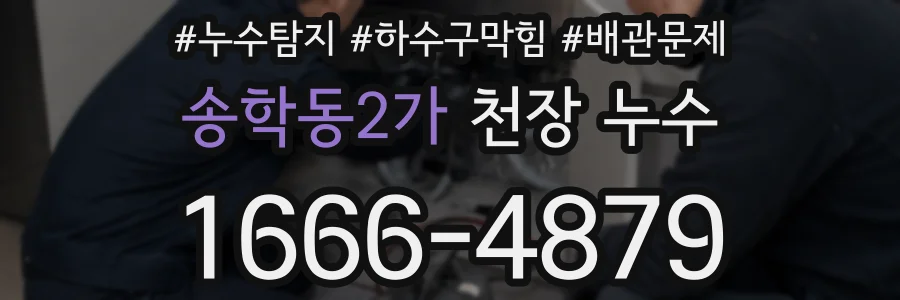 송학동2가 천장 누수