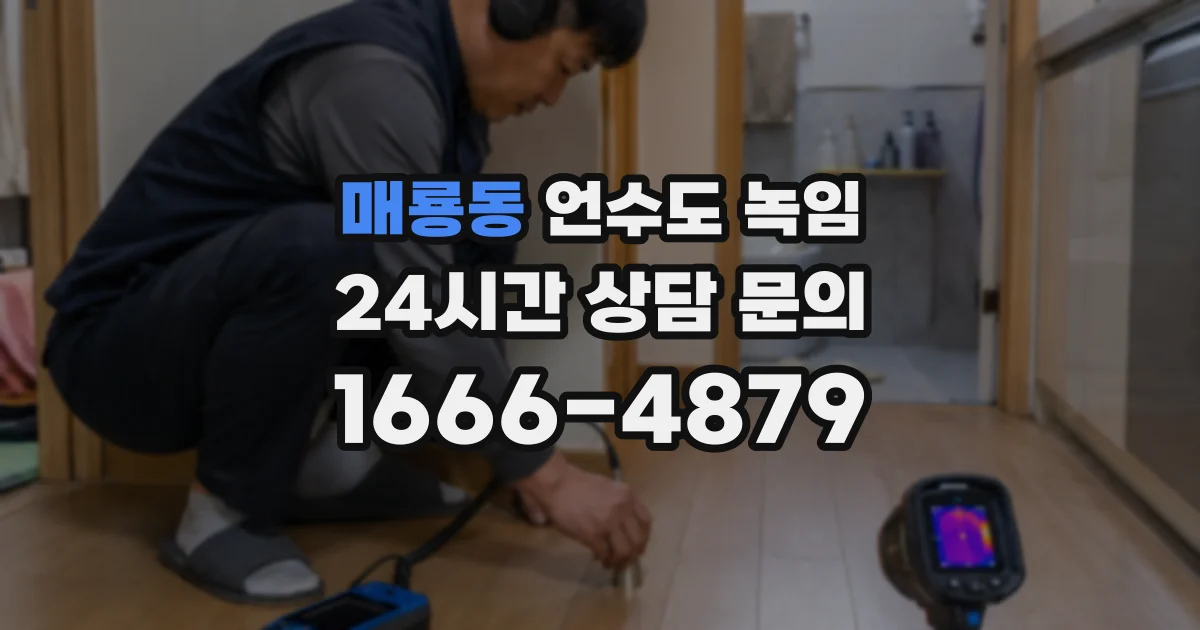 매룡동 언수도 녹임