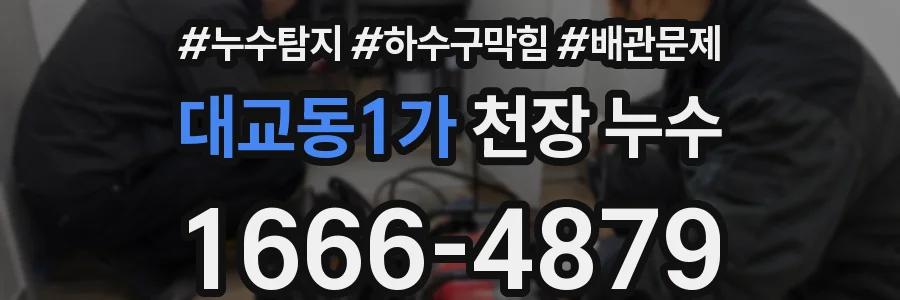 대교동1가 천장 누수