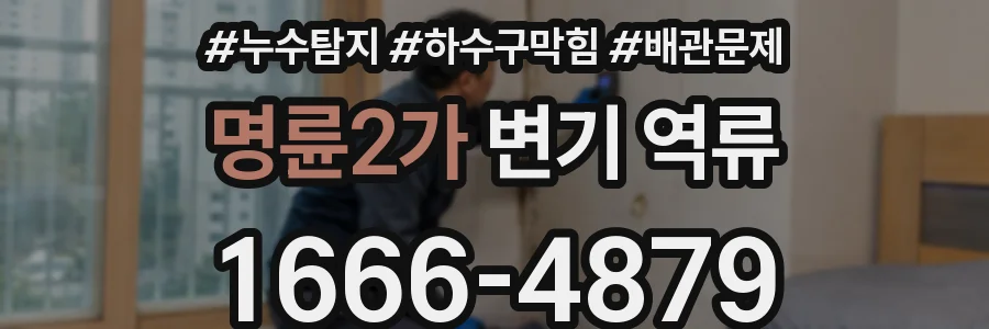 명륜2가 변기 역류
