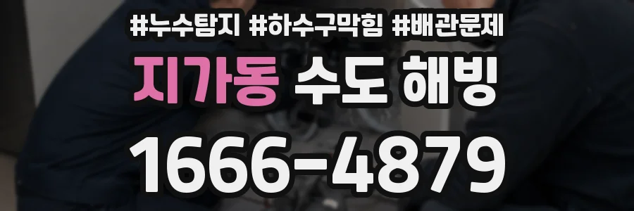 지가동 수도 해빙