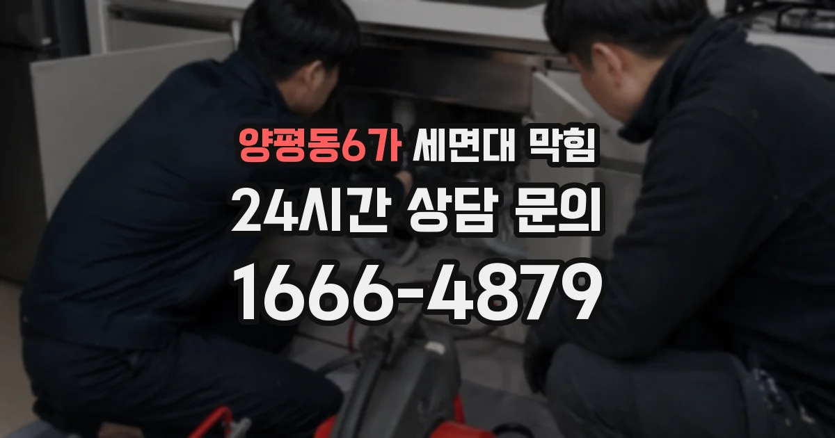 양평동6가 세면대 막힘