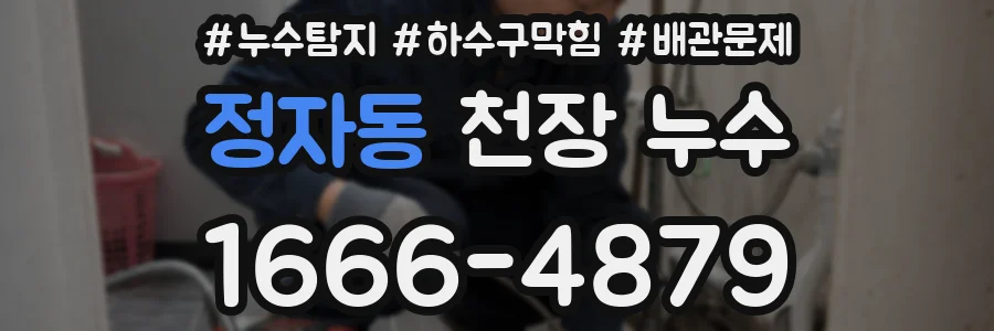 정자동 천장 누수