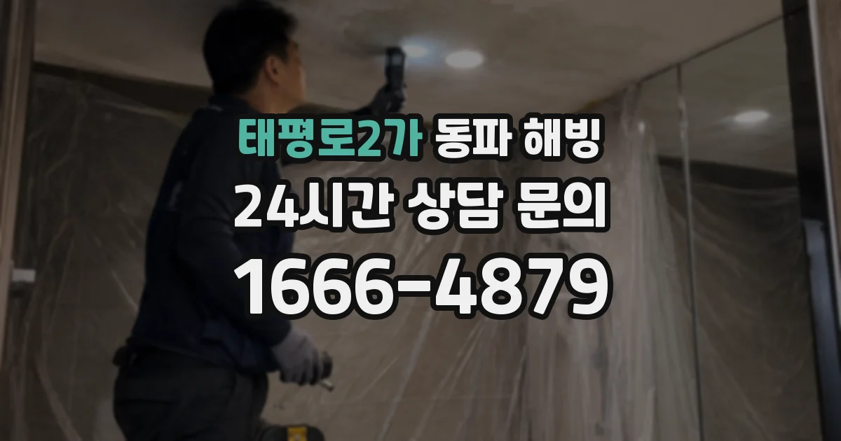 태평로2가 동파 해빙