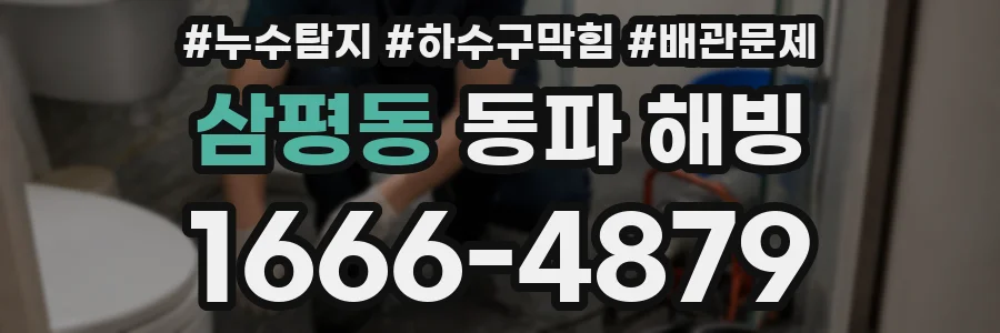 삼평동 동파 해빙
