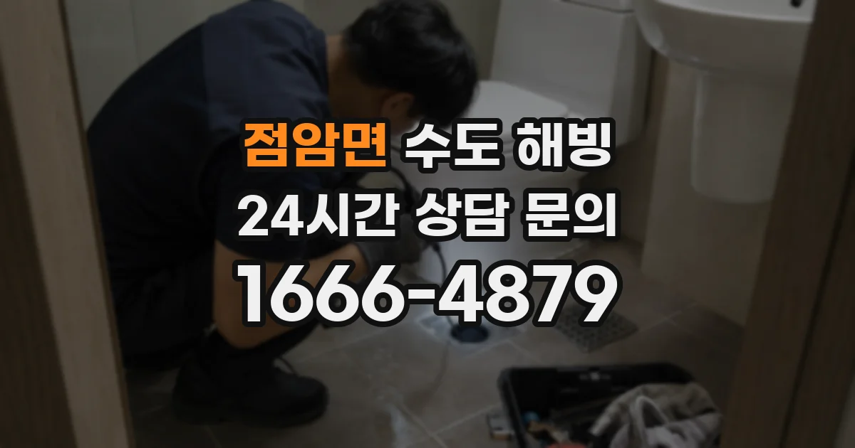 점암면 수도 해빙