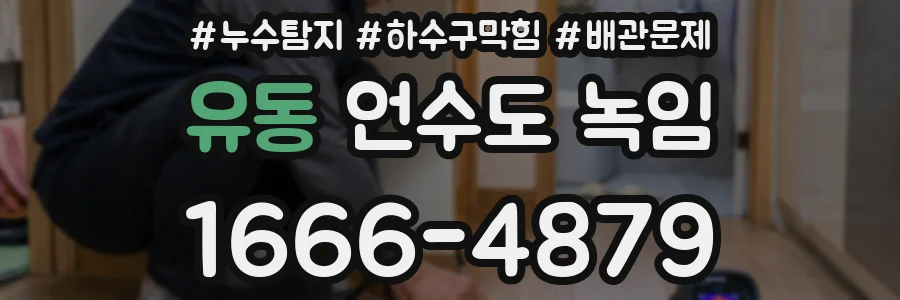 유동 언수도 녹임