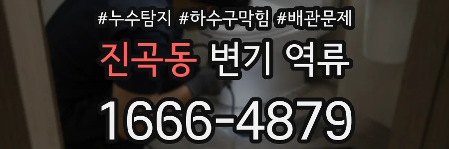 진곡동 변기 역류