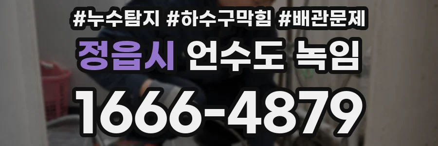 정읍시 언수도 녹임