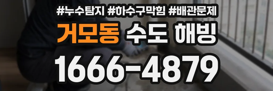 거모동 수도 해빙