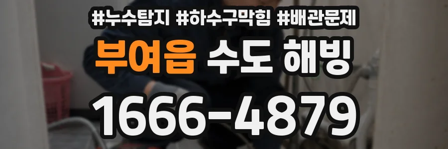 부여읍 수도 해빙