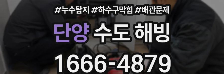 단양 수도 해빙