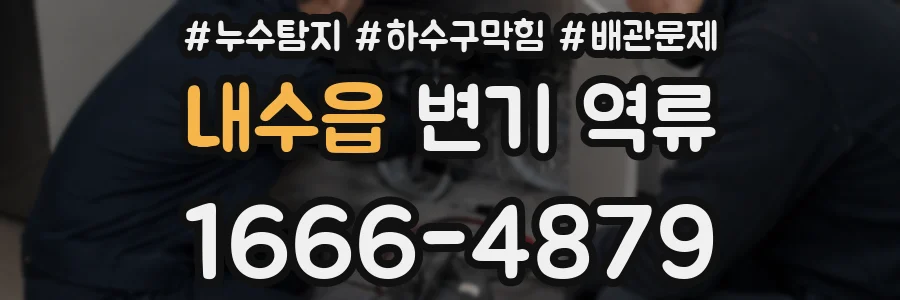 내수읍 변기 역류