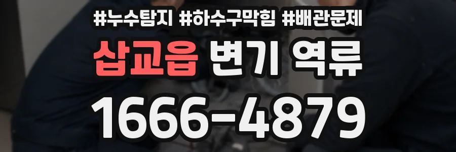 삽교읍 변기 역류