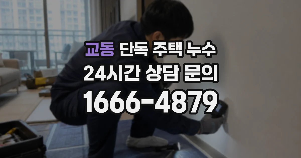 교동 단독 주택 누수