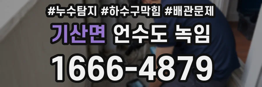 기산면 언수도 녹임