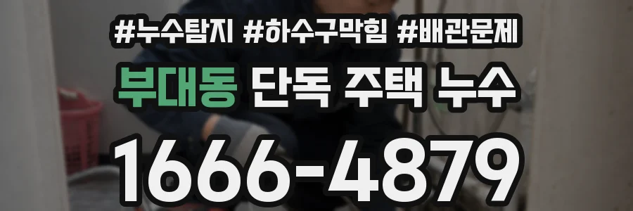 부대동 단독 주택 누수