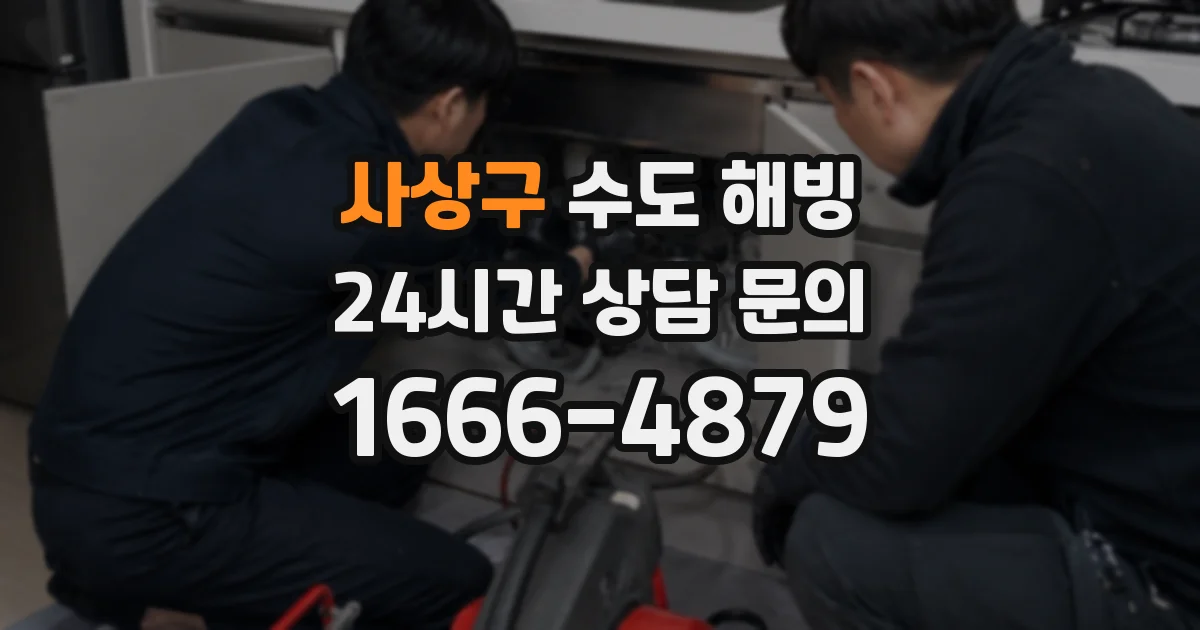 사상구 수도 해빙