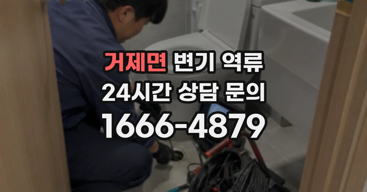 거제면 변기 역류