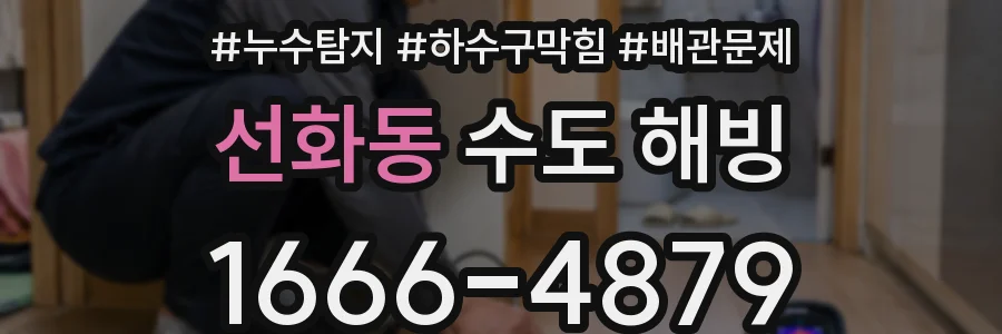선화동 수도 해빙
