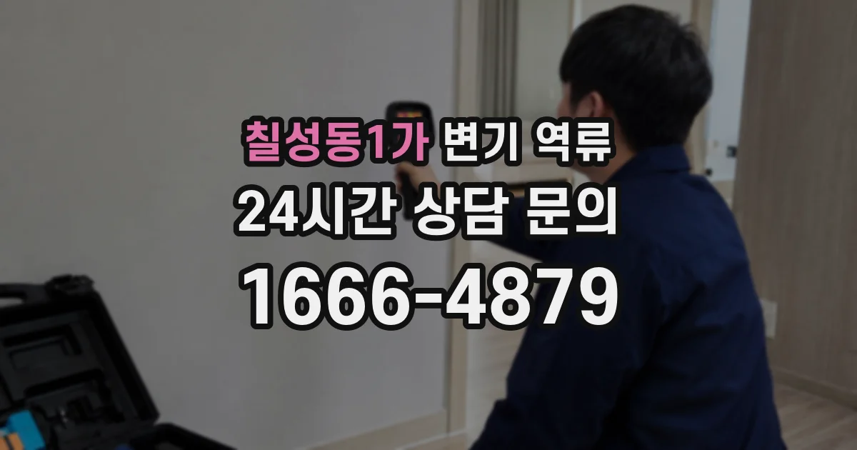 칠성동1가 변기 역류