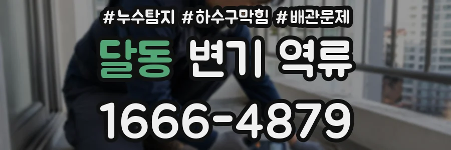 달동 변기 역류
