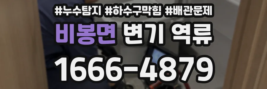 비봉면 변기 역류