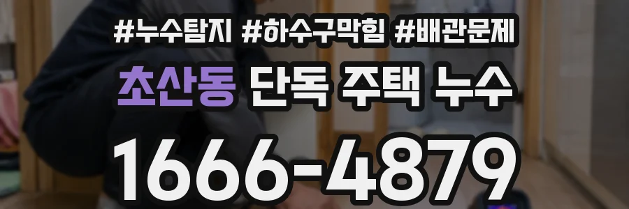 초산동 단독 주택 누수