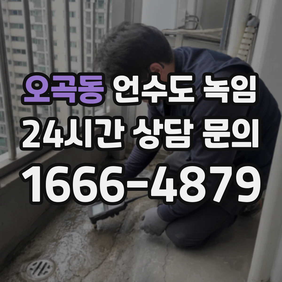 오곡동 언수도 녹임