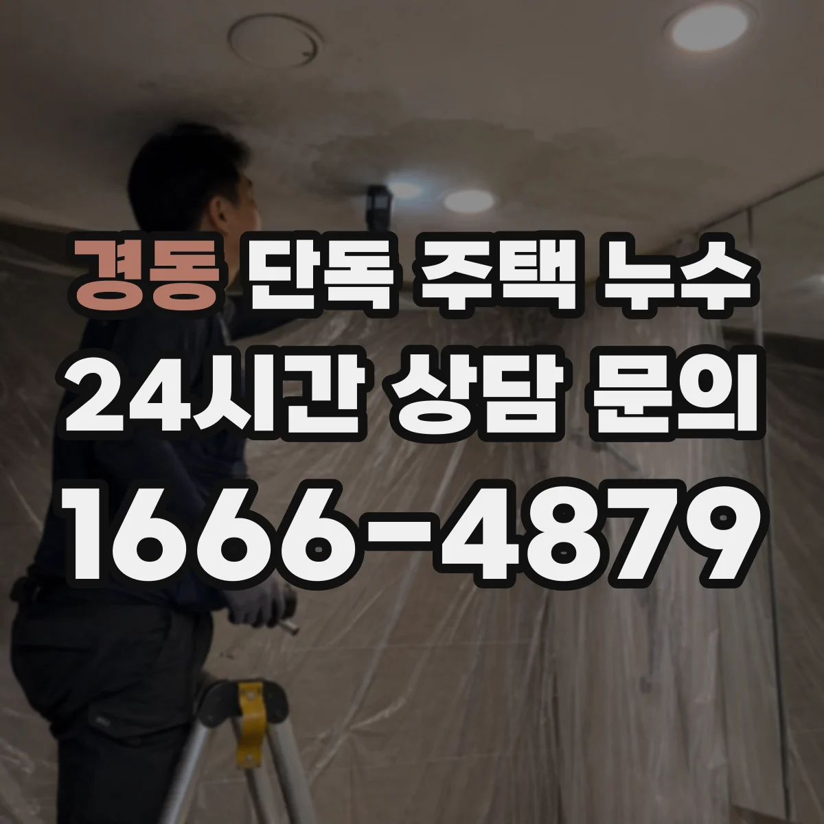 경동 단독 주택 누수