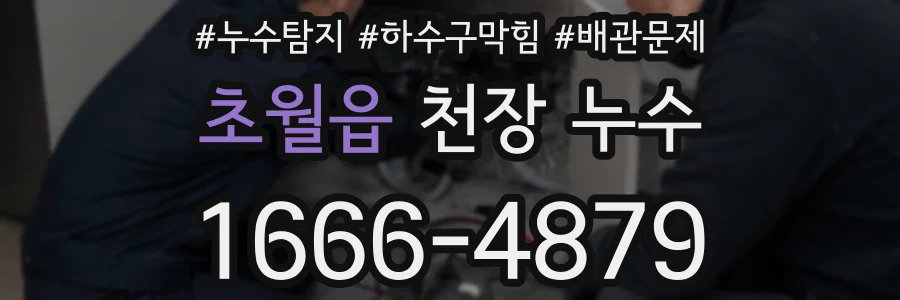 초월읍 천장 누수