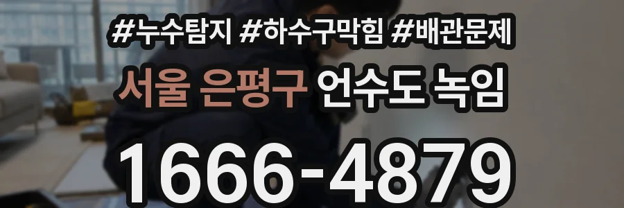 서울 은평구 언수도 녹임