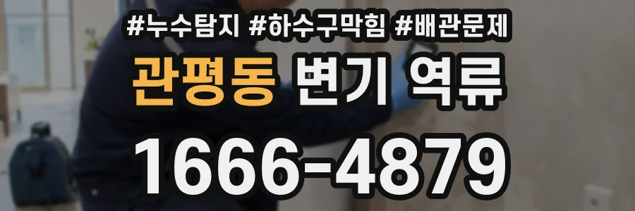 관평동 변기 역류