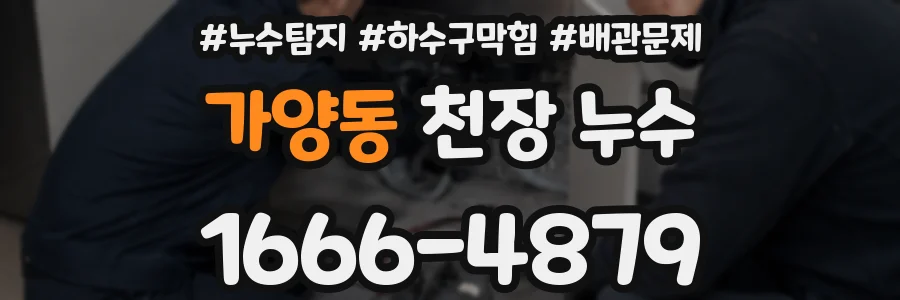 가양동 천장 누수