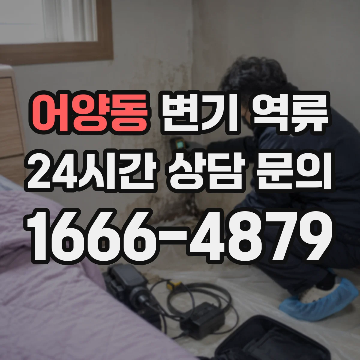 어양동 변기 역류