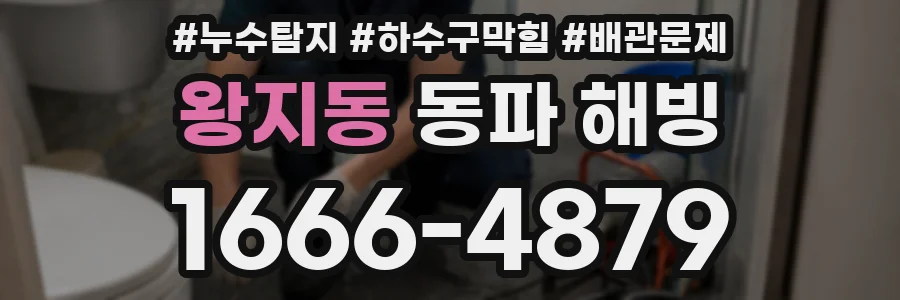 왕지동 동파 해빙