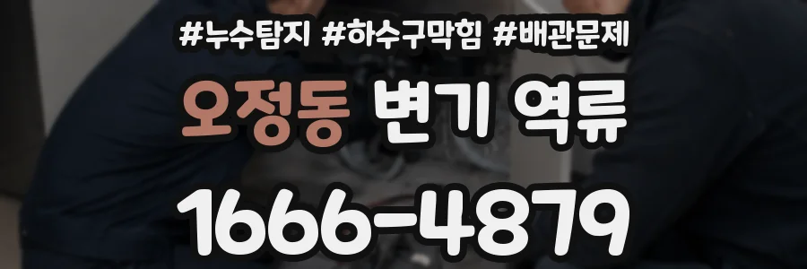 오정동 변기 역류