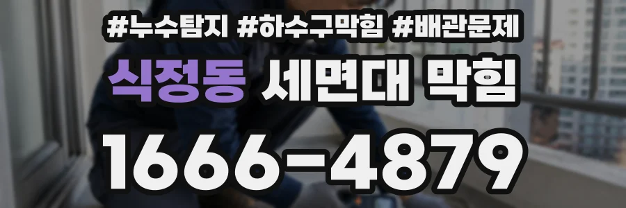 식정동 세면대 막힘