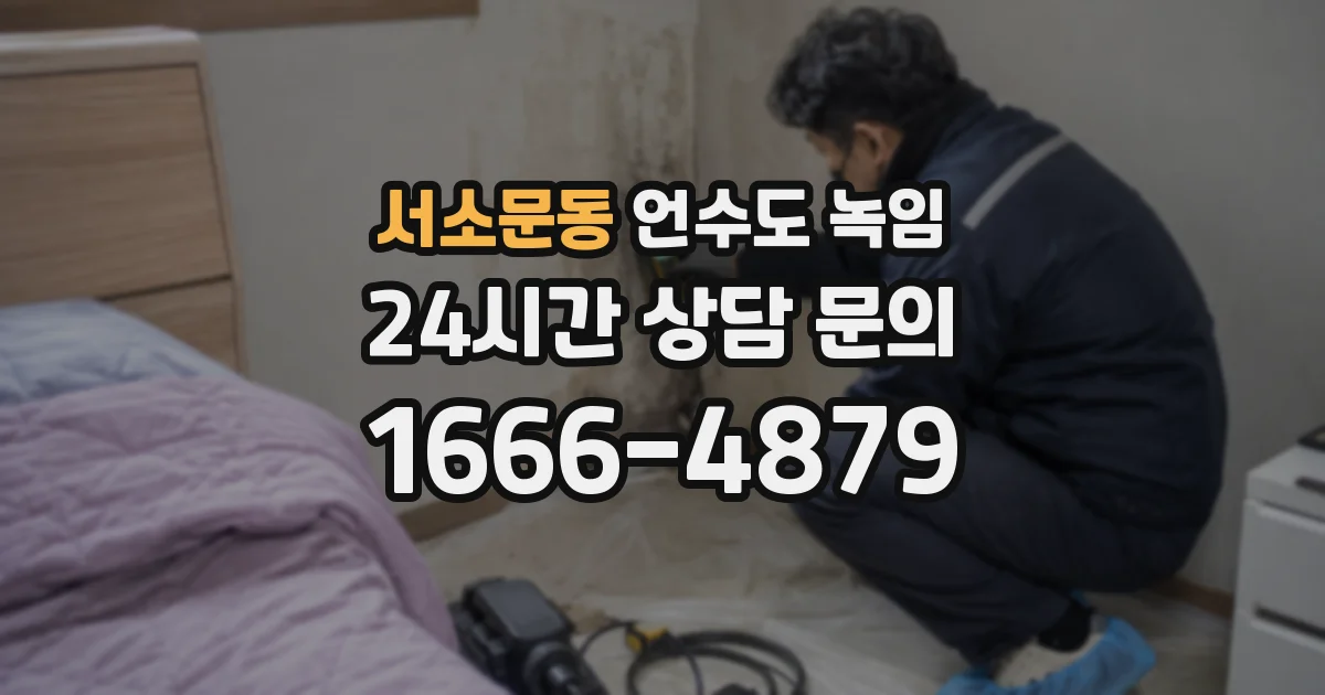 서소문동 언수도 녹임